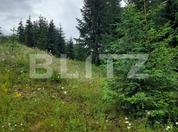 Teren de vânzare Colibiţa - 120673TV | BLITZ Bistriţa | Poza5