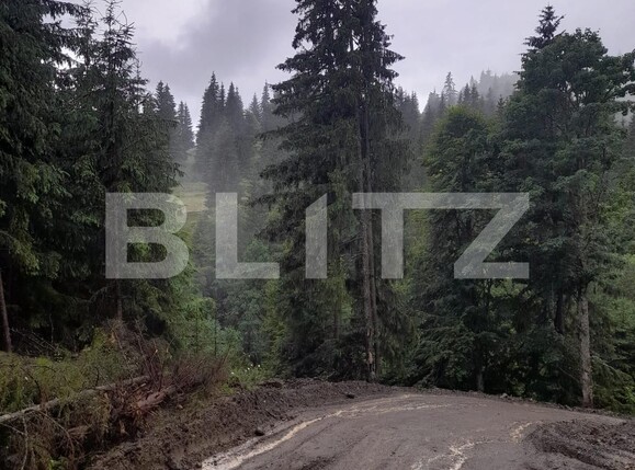 Teren de vânzare Colibiţa - 120673TV | BLITZ Bistriţa | Poza2