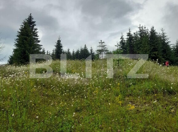 Teren de vânzare Colibiţa - 120673TV | BLITZ Bistriţa | Poza6