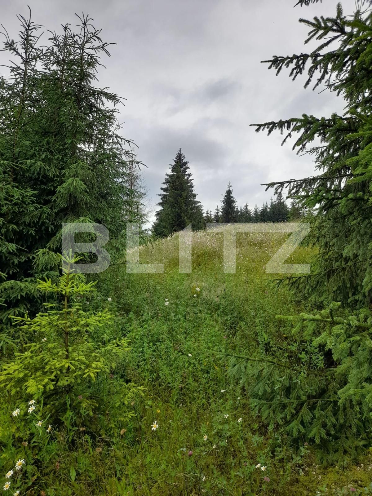 Teren de vânzare Colibiţa - 120673TV | BLITZ Bistriţa | Poza7