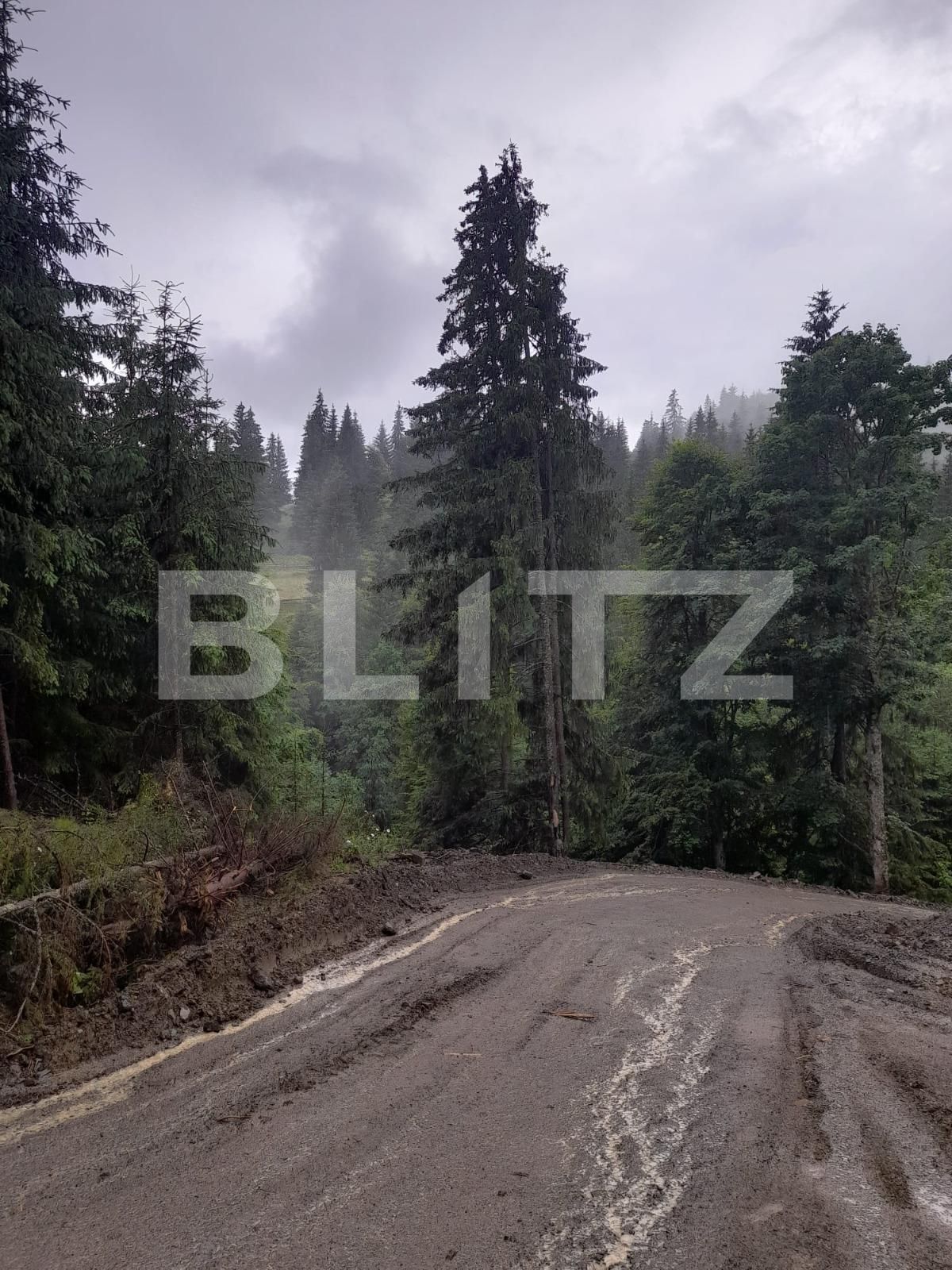 Teren de vânzare Colibiţa - 120673TV | BLITZ Bistriţa | Poza2