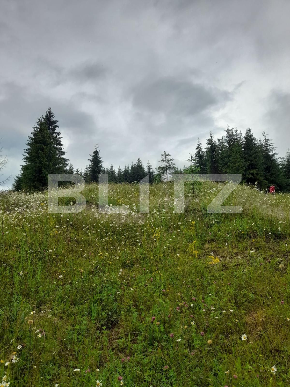 Teren de vânzare Colibiţa - 120673TV | BLITZ Bistriţa | Poza6