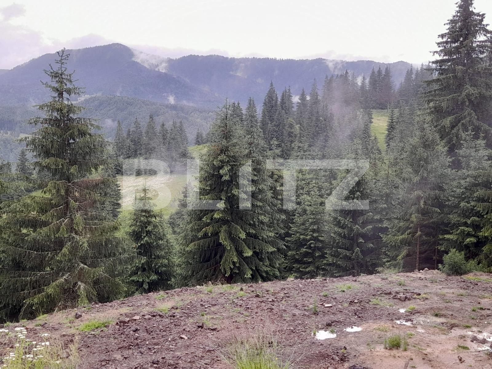 Teren de vânzare Colibiţa - 120673TV | BLITZ Bistriţa | Poza10