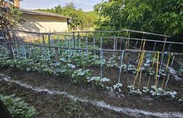 Casa de vanzare 120mp,  teren 17 ari - Viisoara 