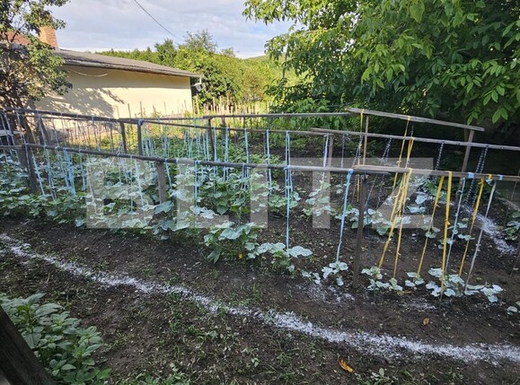 Casa de vânzare 3 camere Viișoara - 120796CV | BLITZ Bistriţa | Poza4