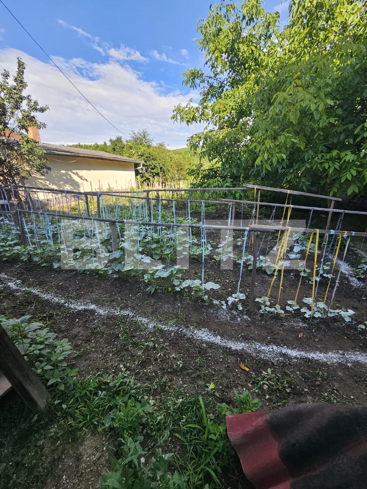 Casa de vânzare 3 camere Viișoara - 120796CV | BLITZ Bistriţa | Poza4