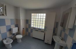 Casa individuala 6 camere, 220 mp utili, teren de 800 mp, zona UNIREA