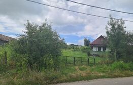 Casa taraneasca traditionala,1000mp teren.Com Matei la 30 de km de Bistrita