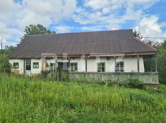 Casa de vânzare 2 camere Exterior Sud - 120928CV | BLITZ Bistriţa | Poza3