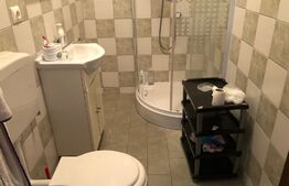 Apartament 1 camera zona Sud