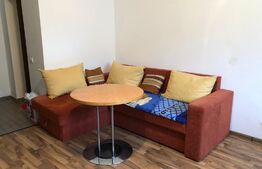 Apartament 1 camera zona Sud