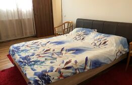 Apartament 1 camera zona Sud