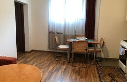 Apartament 1 camera zona Sud