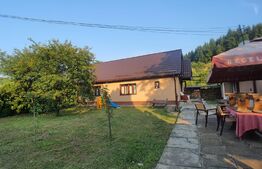 Casa cu 3 camere, 100mp utili, teren 6 ari,  zona Podul Jelnei