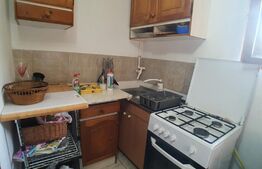 Casa cu 3 camere, 100mp utili, teren 6 ari,  zona Podul Jelnei