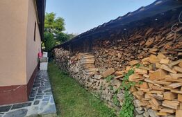 Casa cu 3 camere, 100mp utili, teren 6 ari,  zona Podul Jelnei