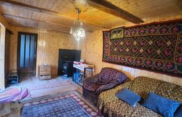 Casa cu 3 camere, 100mp utili, teren 6 ari,  zona Podul Jelnei