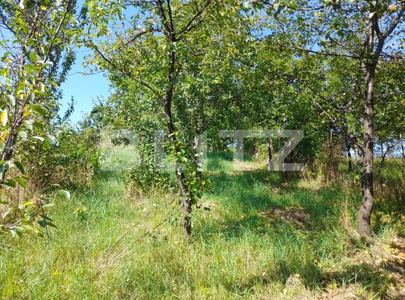 Casa de vânzare 3 camere Exterior Nord - 121535CV | BLITZ Bistriţa | Poza3