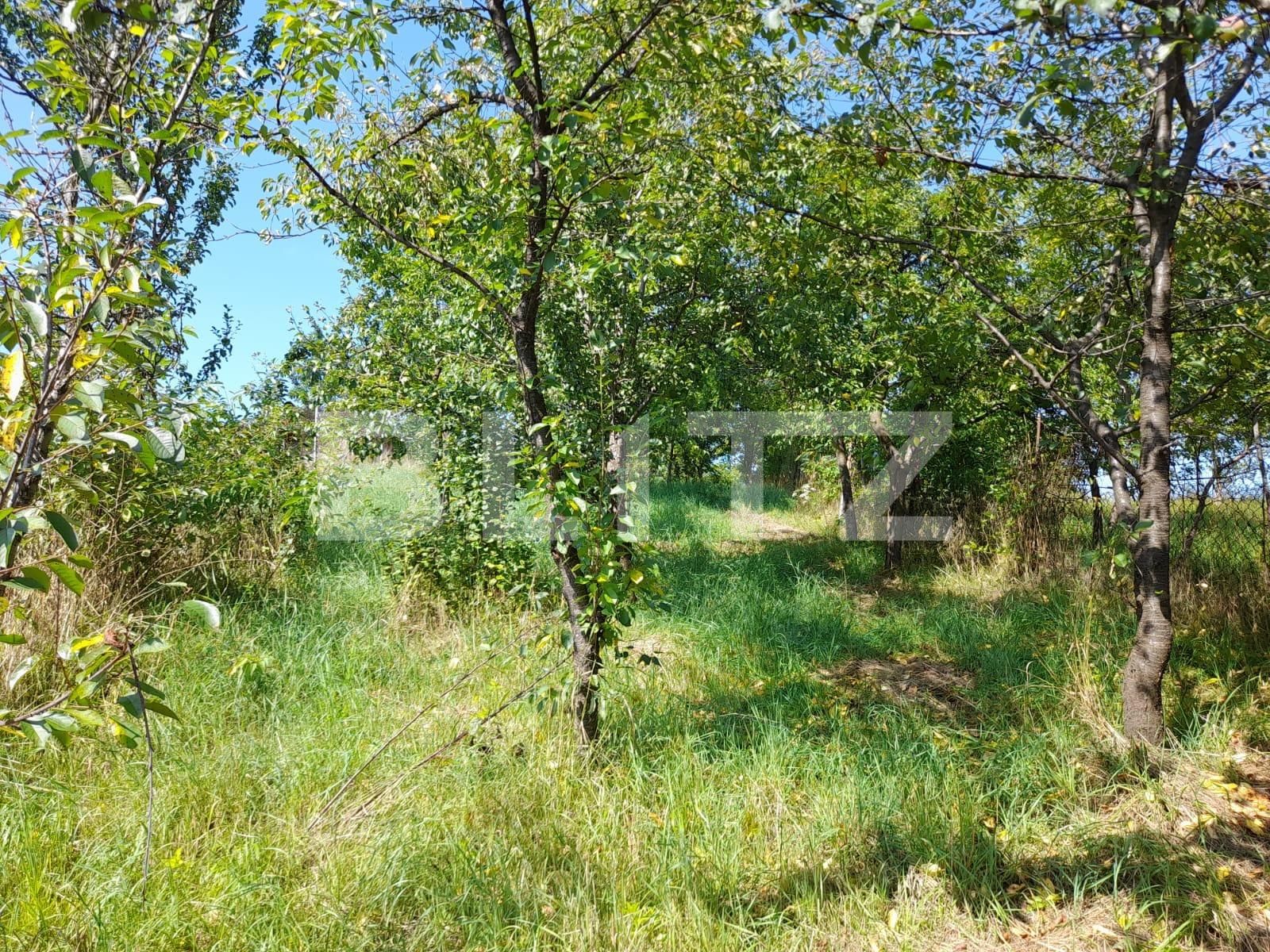 Casa de vânzare 3 camere Exterior Nord - 121535CV | BLITZ Bistriţa | Poza3