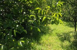 Teren Zavoaie 18 Ari