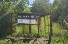 Teren Zavoaie 18 Ari