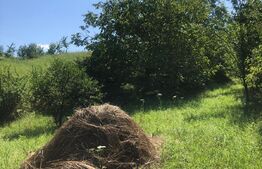 Teren Zavoaie 18 Ari