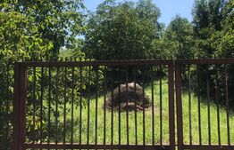 Teren Zavoaie 18 Ari