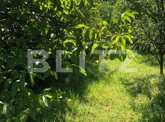 Teren de vânzare Exterior Sud - 121578TV | BLITZ Bistriţa | Poza1