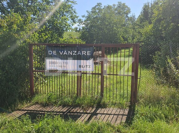 Teren de vânzare Exterior Sud - 121578TV | BLITZ Bistriţa | Poza2