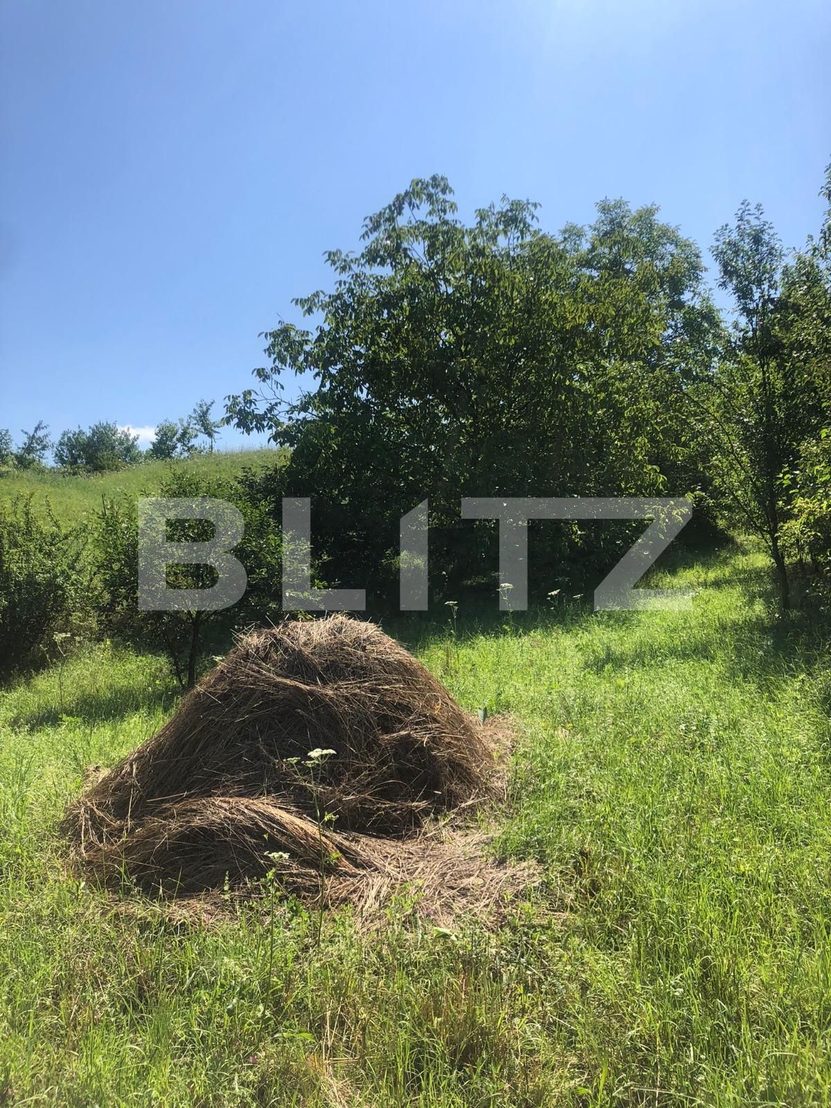 Teren de vânzare Exterior Sud - 121578TV | BLITZ Bistriţa | Poza3