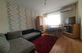 Garsoniera de inchiriat, 20 mp, balcon,  zona Calea Moldovei 