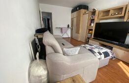 Apartament 2 camere, 50 mp, decomandat, zona Stefan Cel Mare 