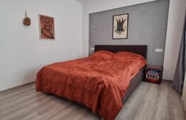 Apartament Stefan cel Mare 