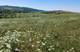 Teren extravilan 7100mp,zona Astrelor