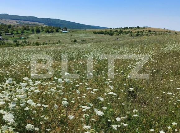 Teren de vânzare Exterior Vest - 122621TV | BLITZ Bistriţa | Poza1