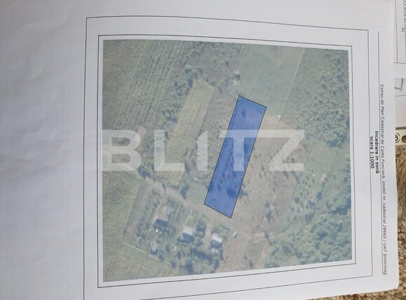 Teren de vânzare Viișoara - 122934TV | BLITZ Bistriţa | Poza1