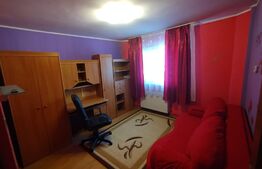 Apartament 2 camere, 50mp, Sud