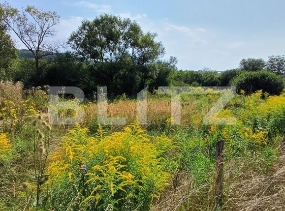 Teren de vânzare Exterior Vest - 123619TV | BLITZ Bistriţa | Poza1