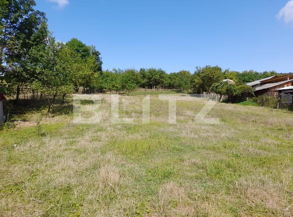 Casa de vânzare 4 camere Exterior Nord - 124675CV | BLITZ Bistriţa | Poza4