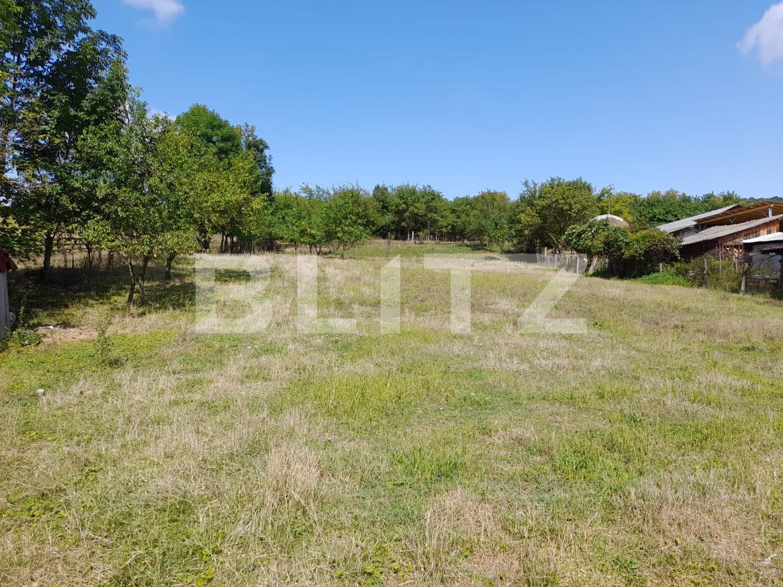 Casa de vânzare 4 camere Exterior Nord - 124675CV | BLITZ Bistriţa | Poza4