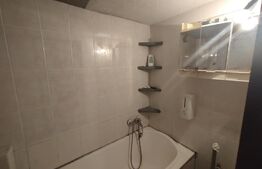 Garsoniera, 22 mp, luminos, zona Independentei 