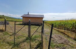 Casuta de vacanta  50mp, teren 1400mp, zona Jelna