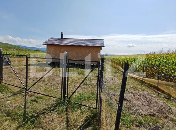 Casa de vânzare 2 camere Nord-Est - 124701CV | BLITZ Bistriţa | Poza1