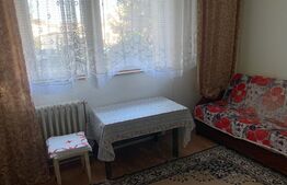 Apartament 2 camere, 50mp, spatios, zona Independentei