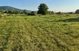 Teren intravilan, 1024mp, Livezile