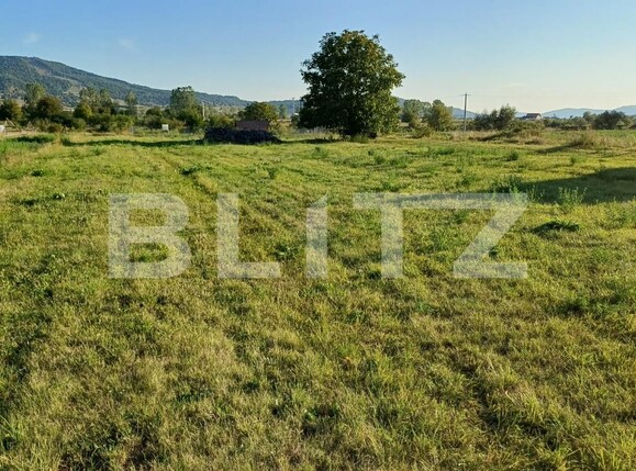 Teren de vânzare Nord - 125274TV | BLITZ Bistriţa | Poza1