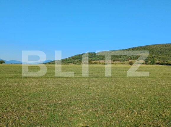 Teren de vânzare Unirea - 125276TV | BLITZ Bistriţa | Poza1