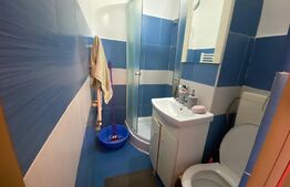 Garsoniera, 24mp, luminos, zona Sud