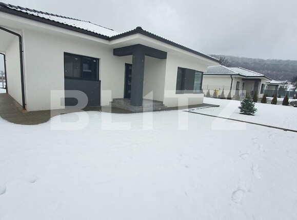 Casa de vânzare 4 camere Viișoara - 125530CV | BLITZ Bistriţa | Poza1