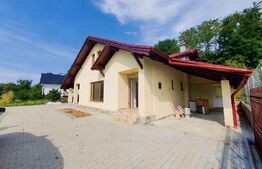 Casa 120mp, teren 19 ari, Valea Ghinzii